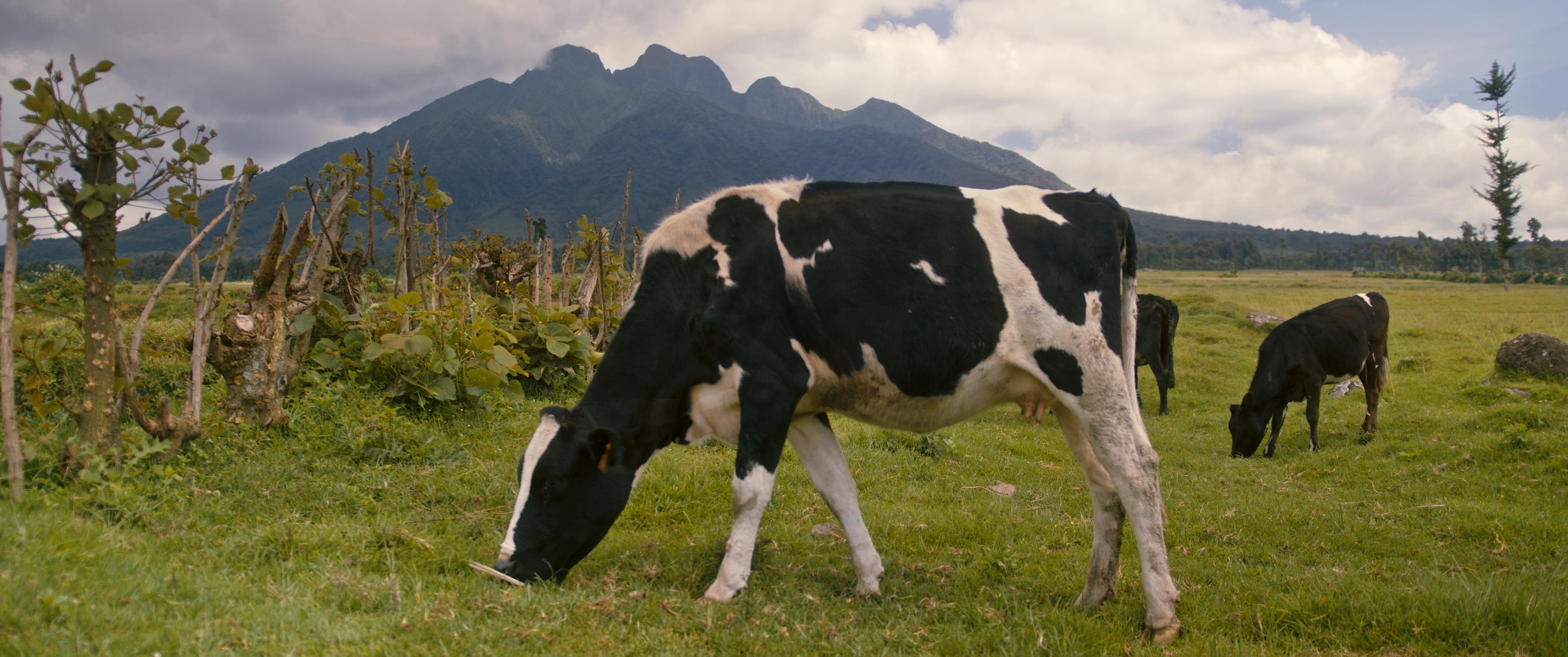 Filmstill aus „Snow Over Kigali – An African Christmas Tale“